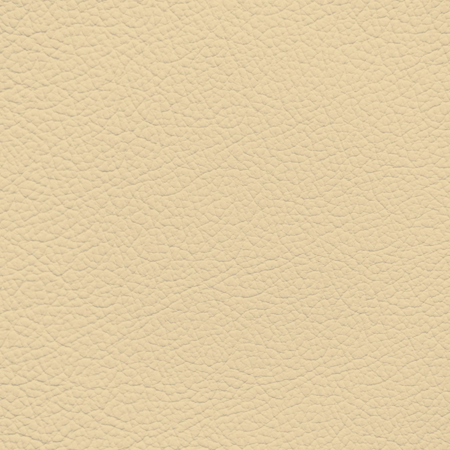 Jaguar Magnolia Leather Dye
