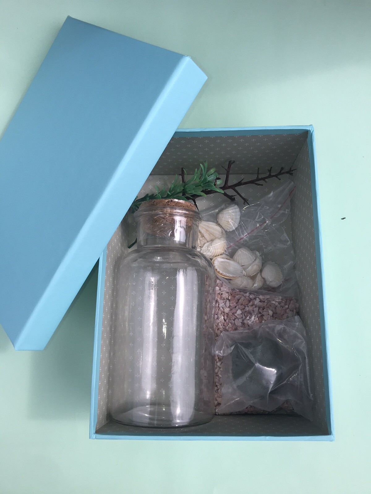 Aquarium Composition With 2 Marimo 8/10cm Daytime Shipping By 12:00