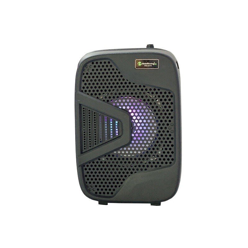 Portable Karaoke Machine Speaker with Microphone,Bluetooth 5.0, Wireless Speaker