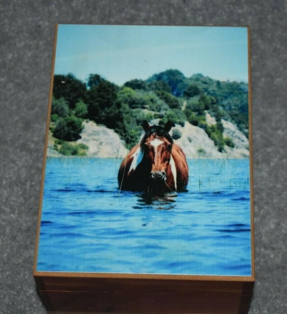 #5106 WATER HORSE KEEPSAKE JEWELRY WOOD CEDAR BOX 4.5" X 6"