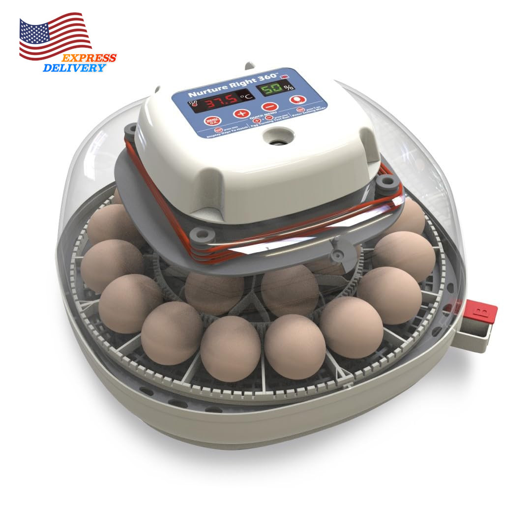Nurture Right Egg Incubator for Hatching Chicks Holds 12-22 Eggs 360 Degree View