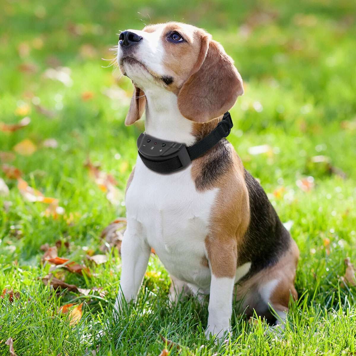Automatic Anti Bark Barking Shock Control Collar Device Small Medium Large Dog