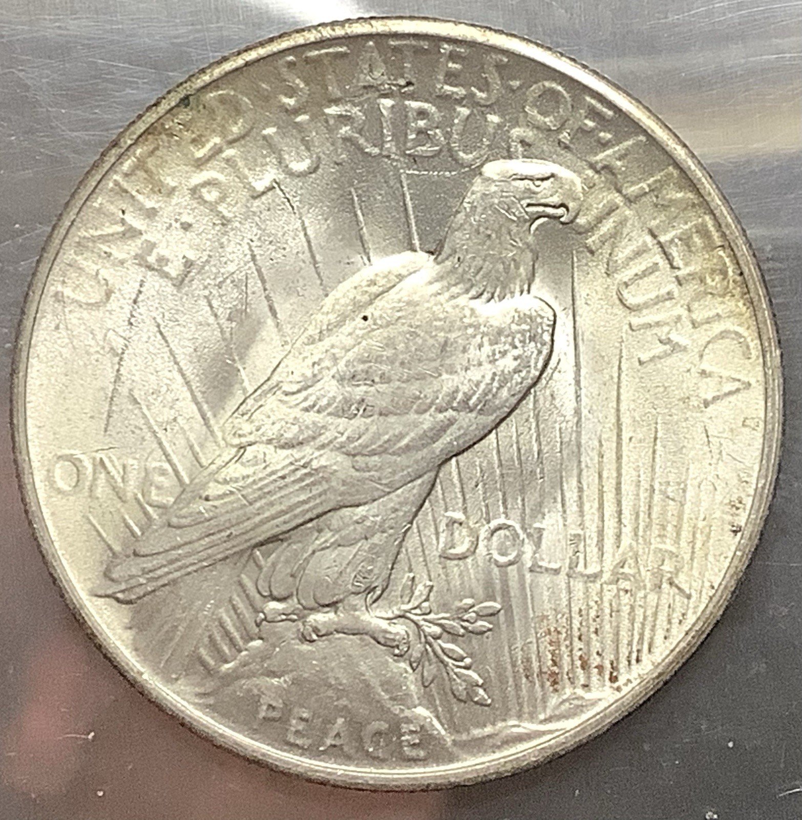 1925 Peace Silver Dollar - Lustrous Choice BU 001