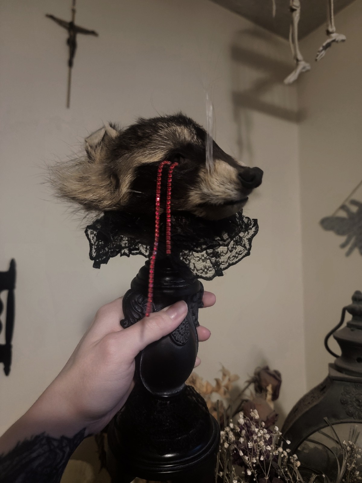 Gothic Mummified Raccoon Head