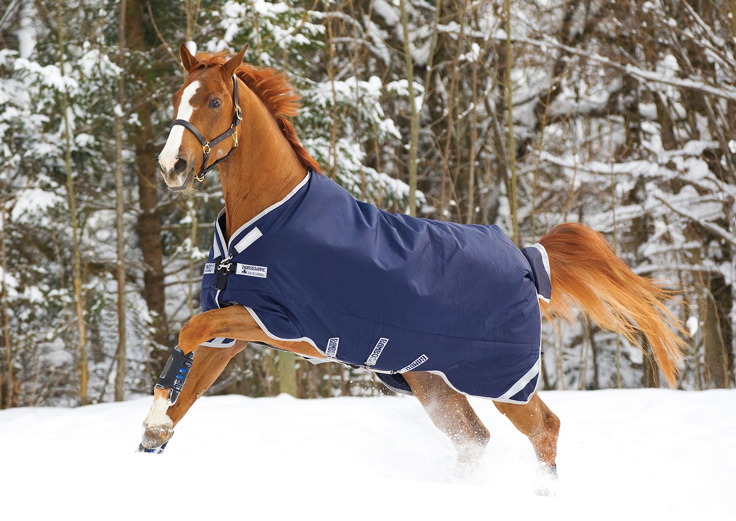 Rambo Original Turnout Blanket with Leg Arches, 200 Gram, Navy/Silver, 66" FOBHT