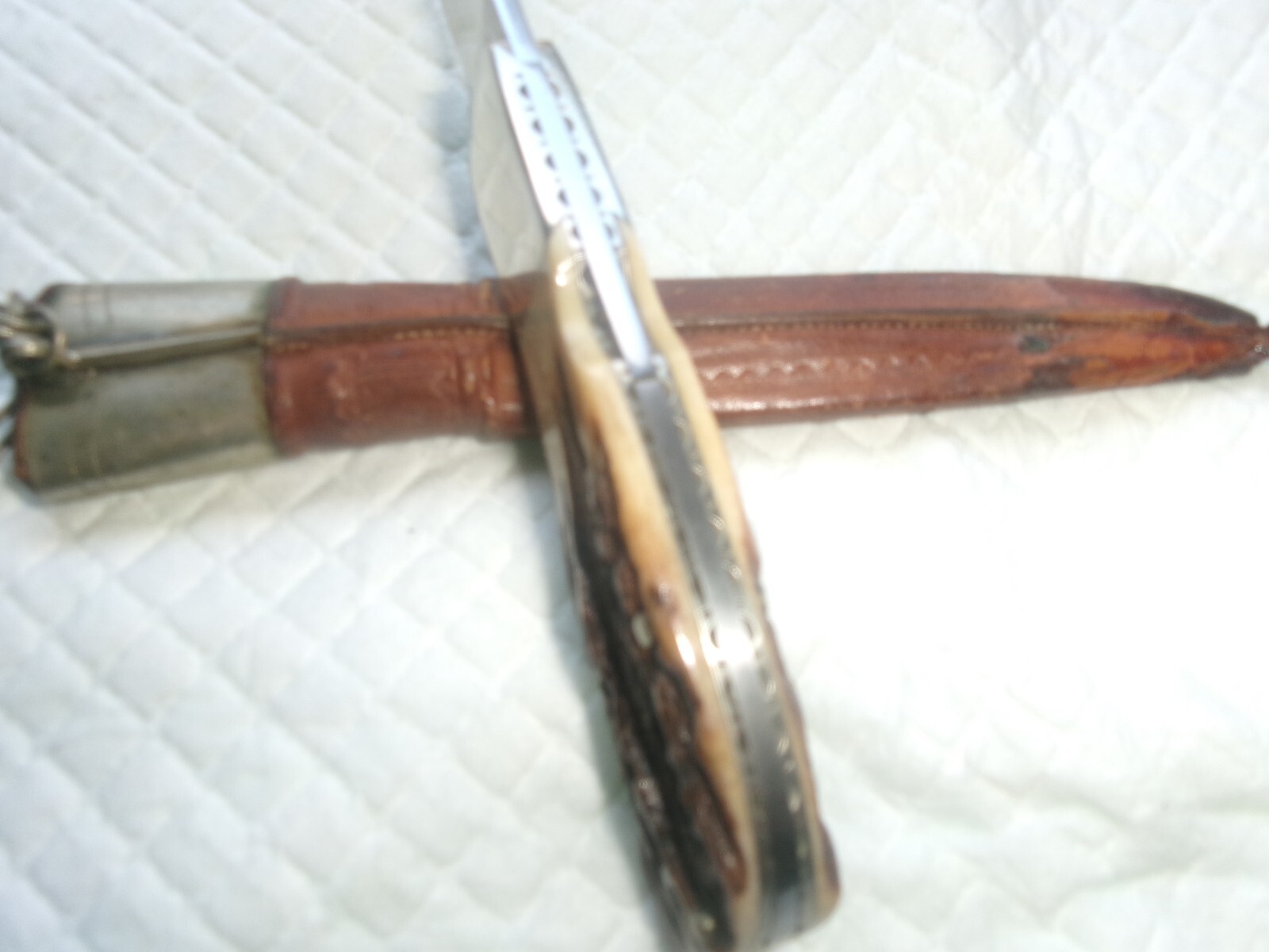 James Wiggins custom mint stag mid lock folder