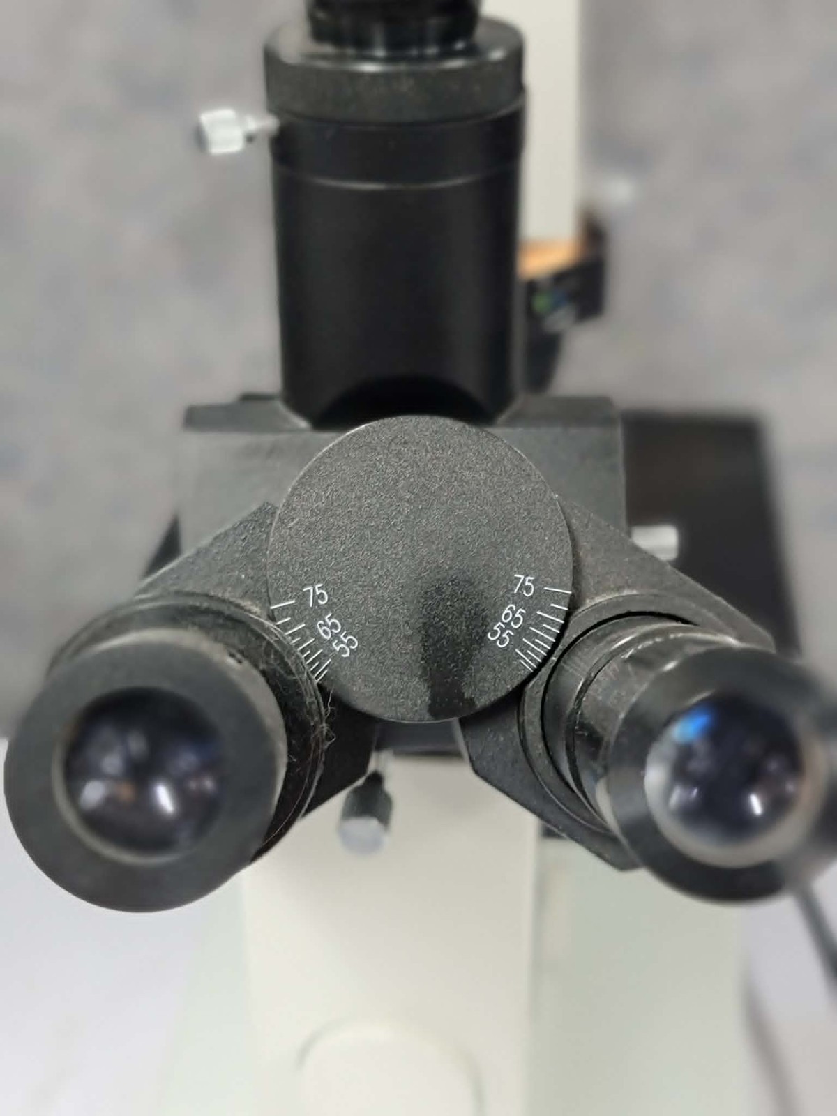 Hund Wetzlar Wilovert 30 Westover Series 8 Inverted Laboratory Microscope