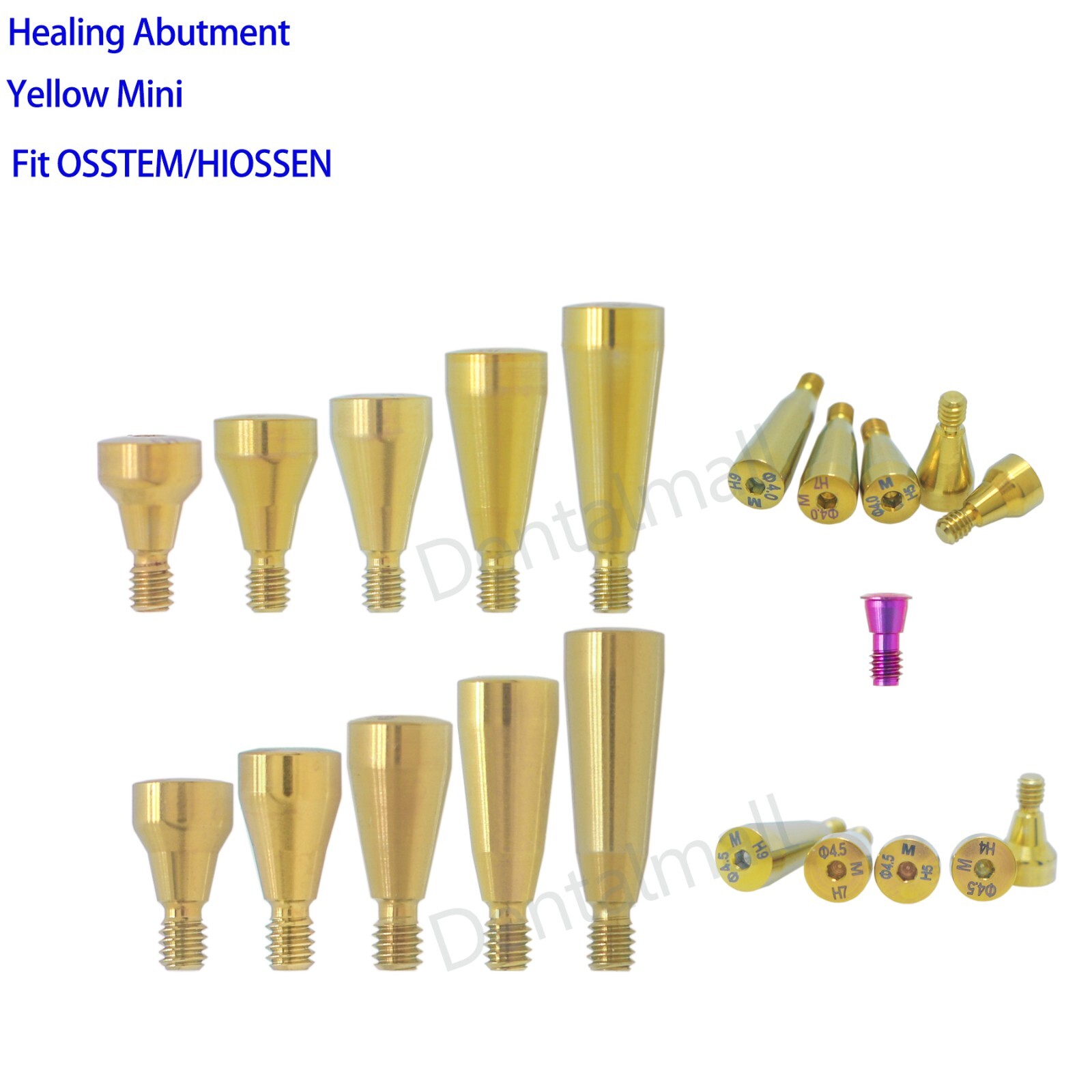 Dental Mini Healing Abutment Cover Screw Platform Fit for Osstem Hiossen