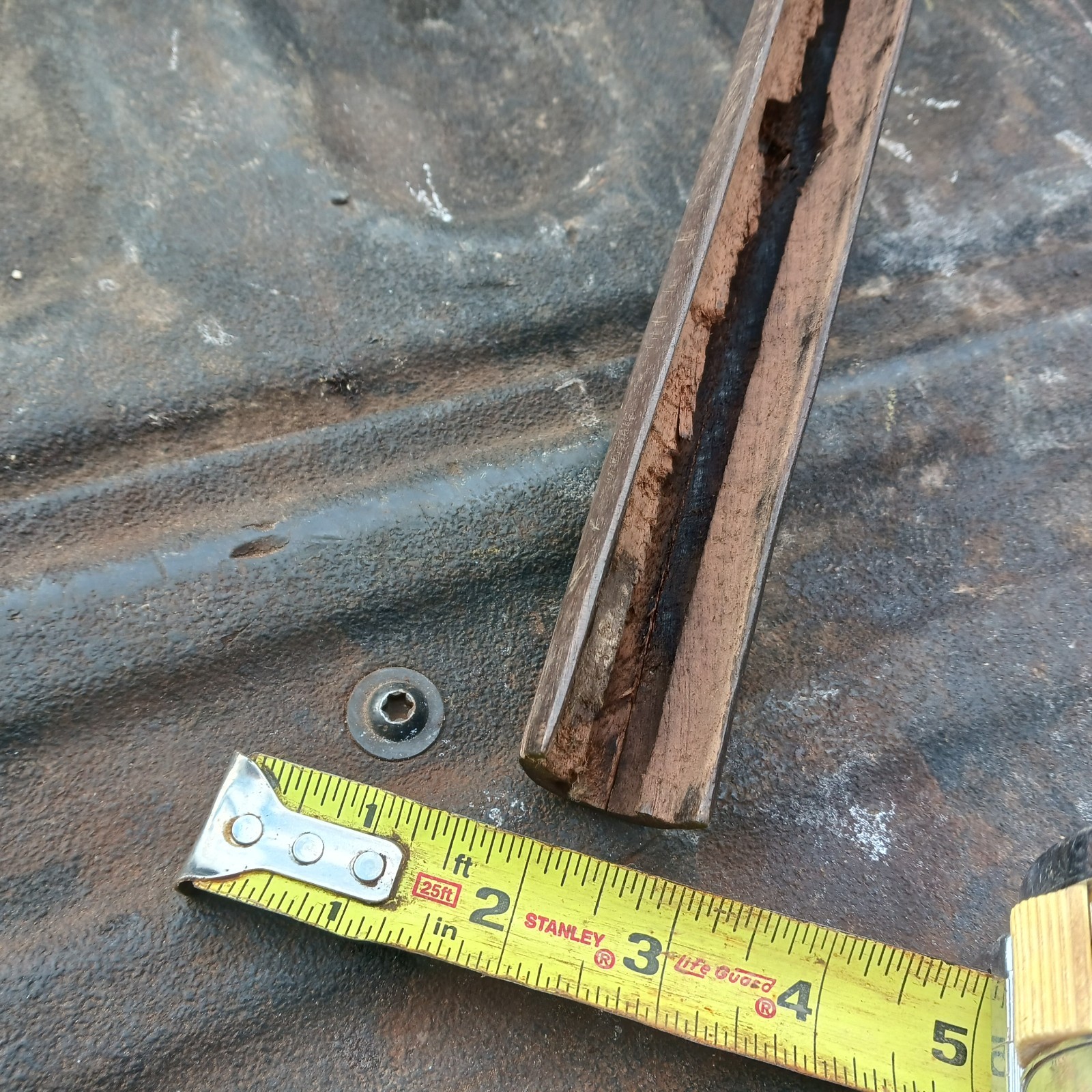 Antique Muzzleloader Stock In Walnut Well Used