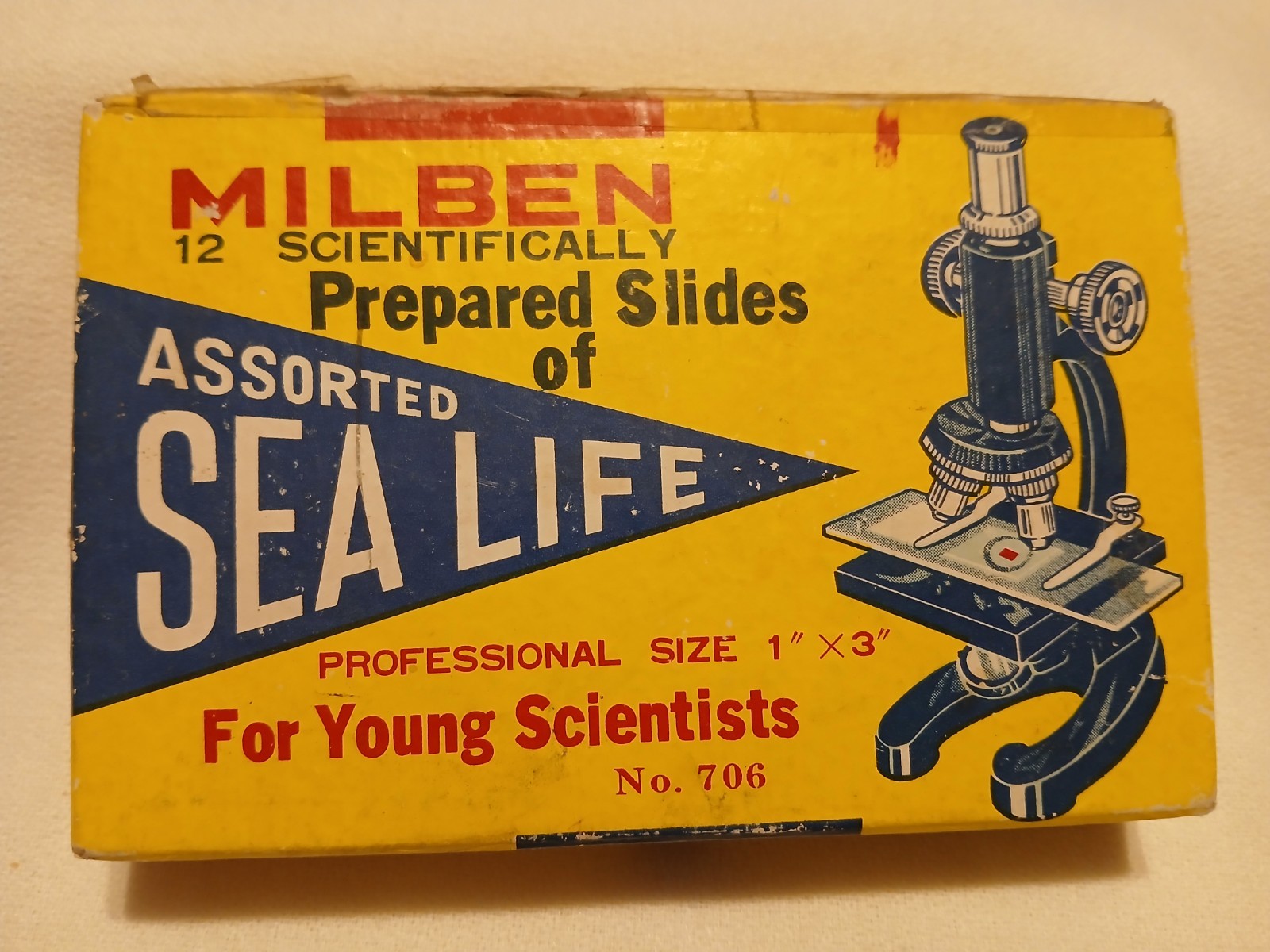 Milben 12 Scientifically Prepared Slides of Assorted Sea Life - No. 706