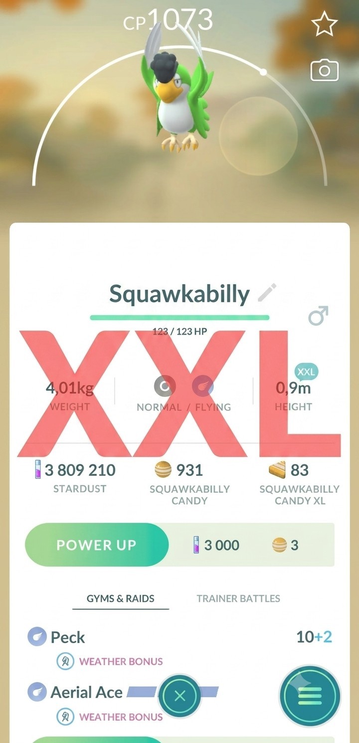 Pokémon🔄Trade🔄Go Squawkabilly (Green Plumage) XXL