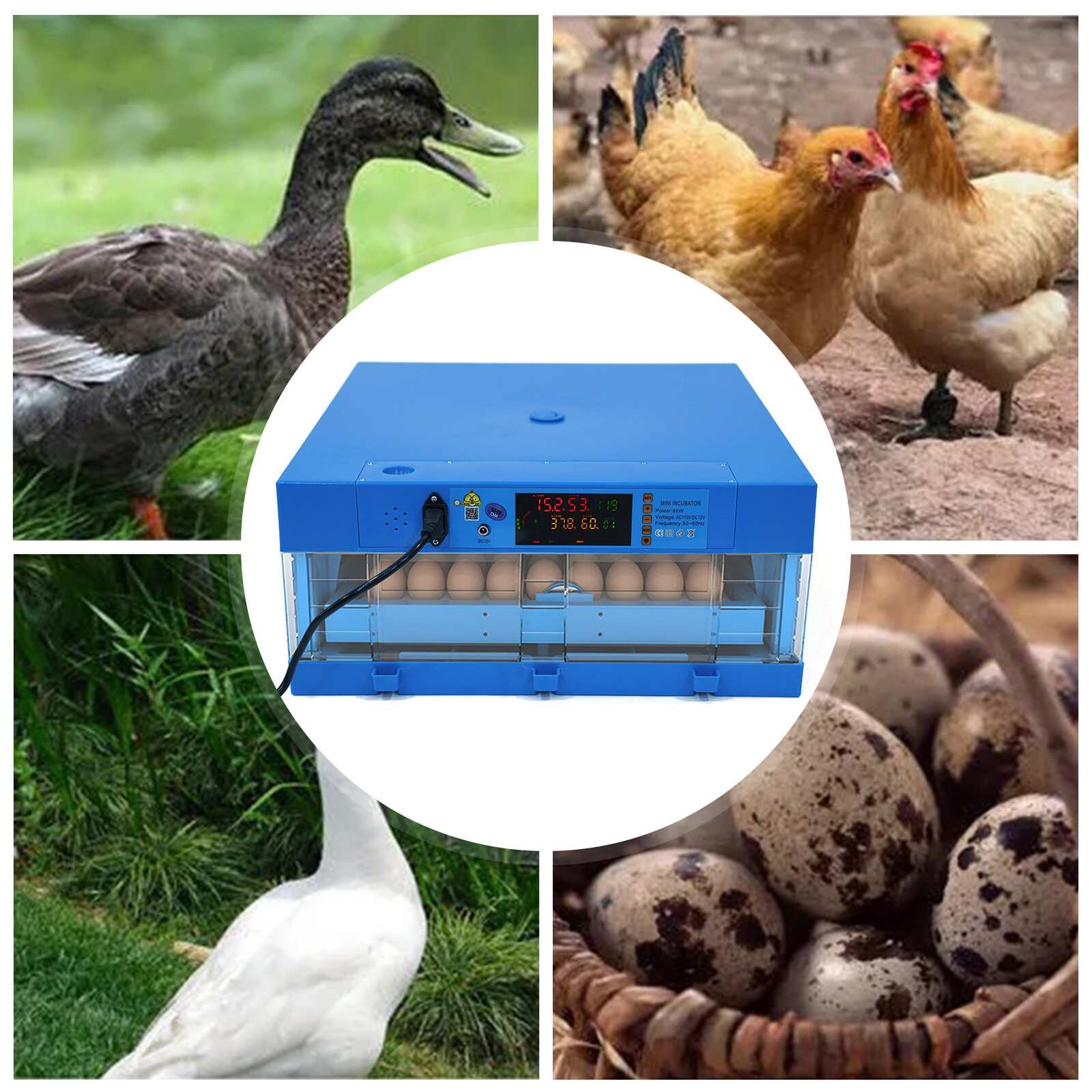 Digital Eggs Incubator Hatch Chicken Duck Egg Poultry Quail Turkey Auto-Turning