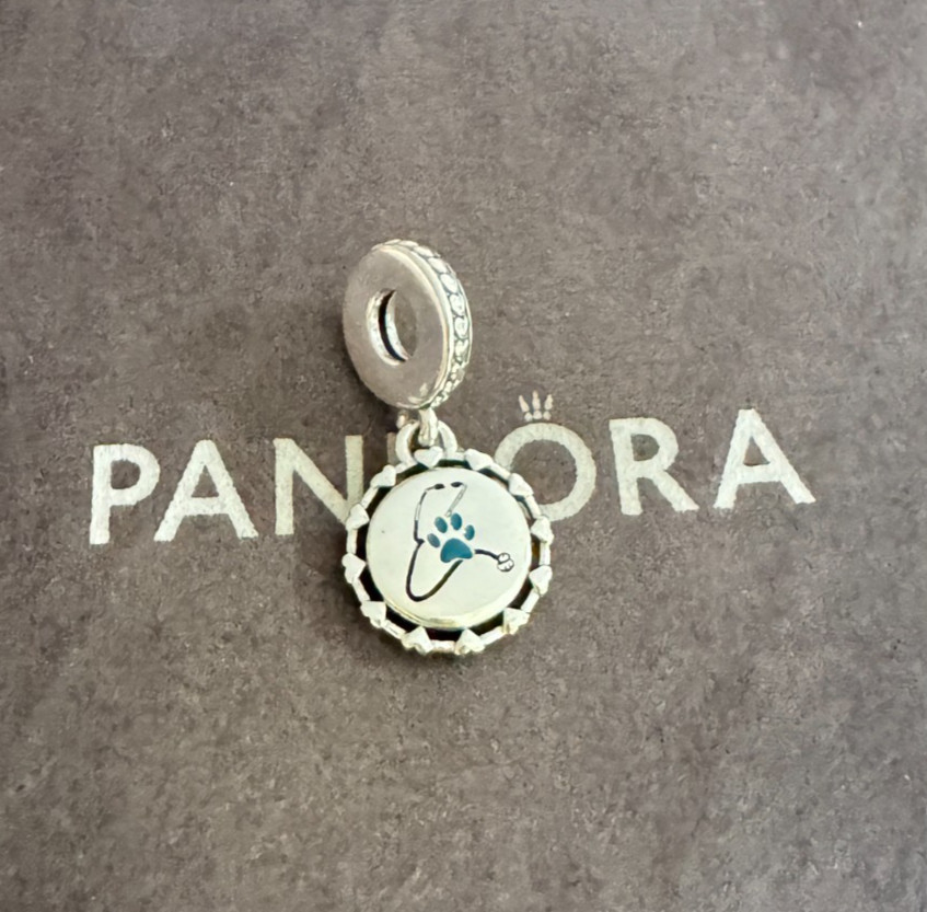 Veterinarian Dangle Charm Pendant S925 Sterling Silver Jewelry