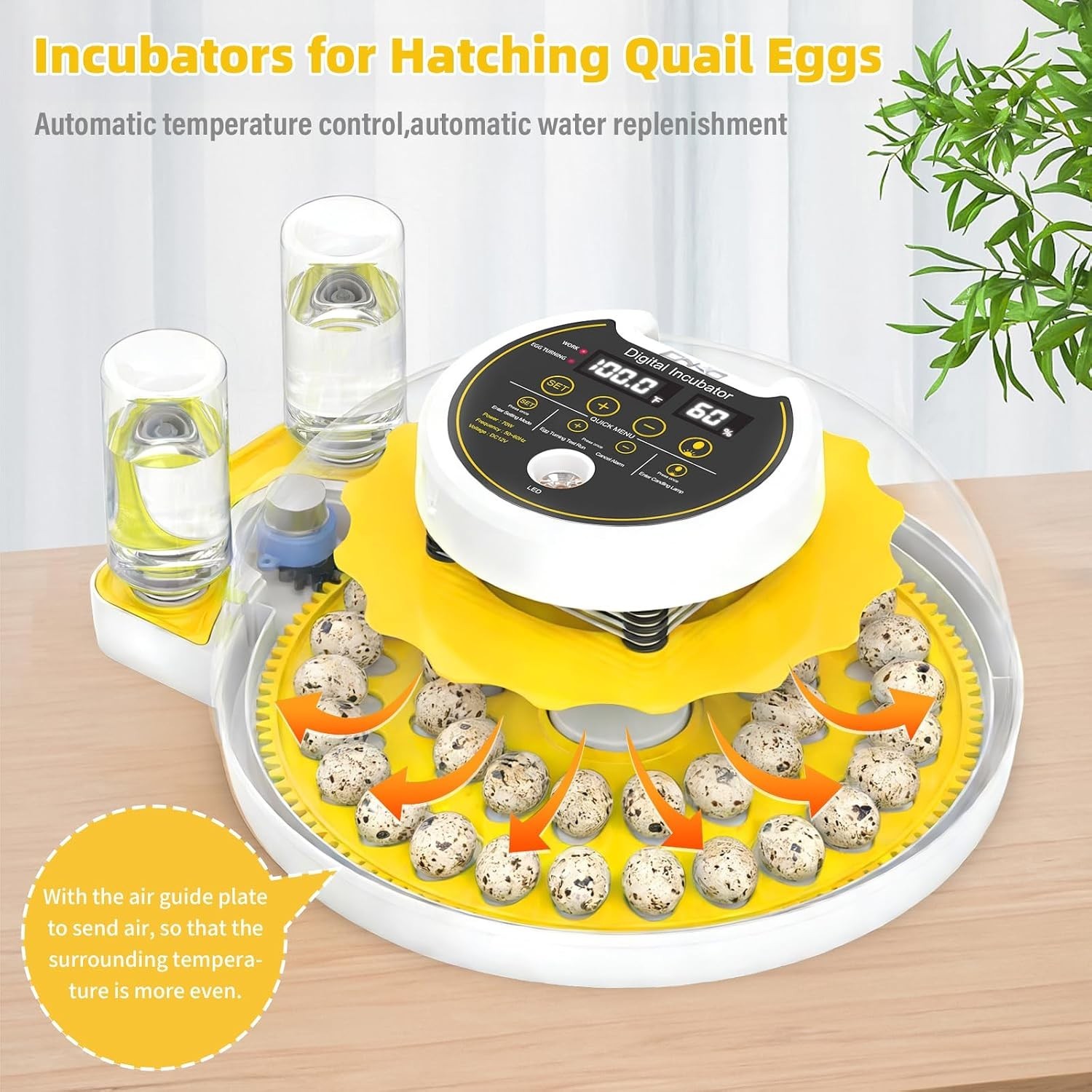 Quail Egg Incubator for Hatching Eggs with Automatic Egg Turning and Humidity...