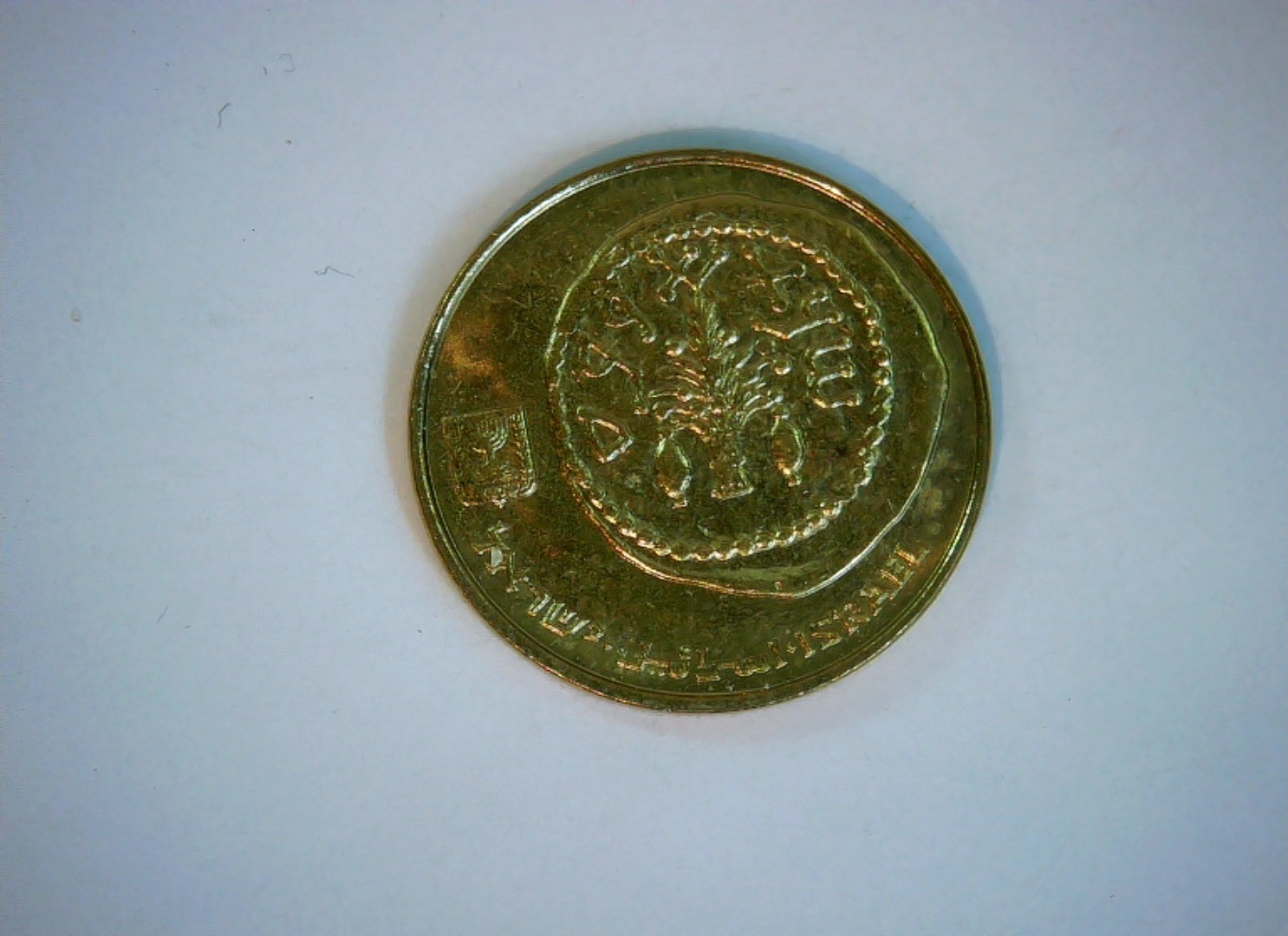 Israel 5 Agorot Israel 5 Agorot (palm tree) Coin