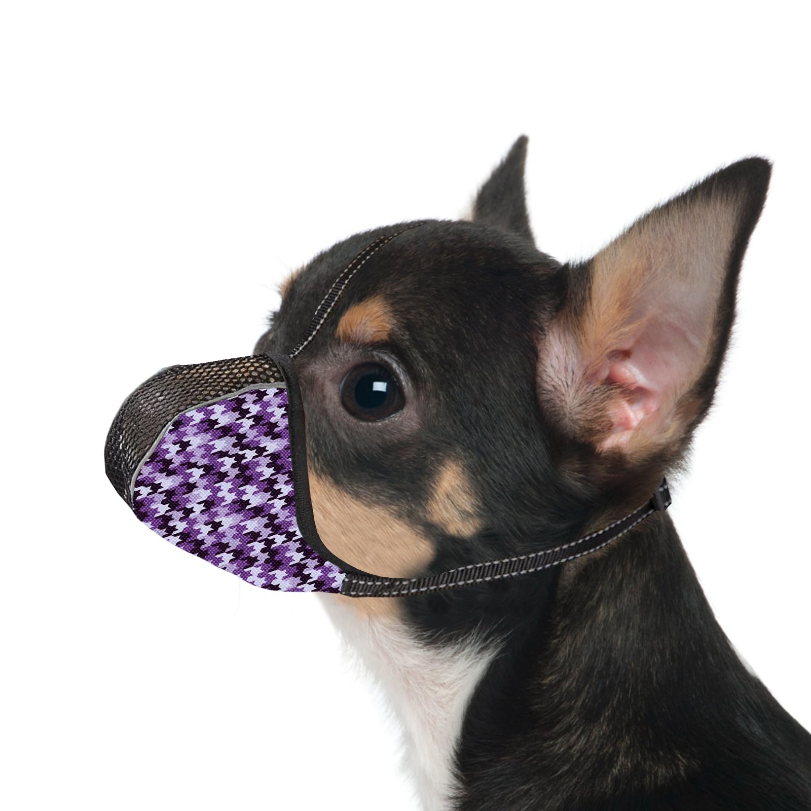 JOYPAWS Dog Muzzle for Extra Small Dogs Anti & Prevent Biting XS, Purple
