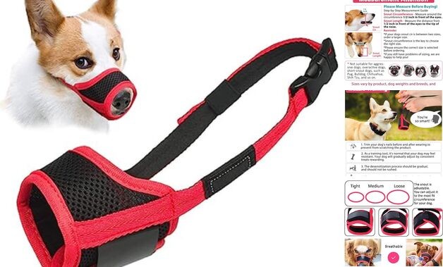 Dog Muzzle Anti Biting and Chewing with Comfortable XS-Snout(3½-4½") Red Trim
