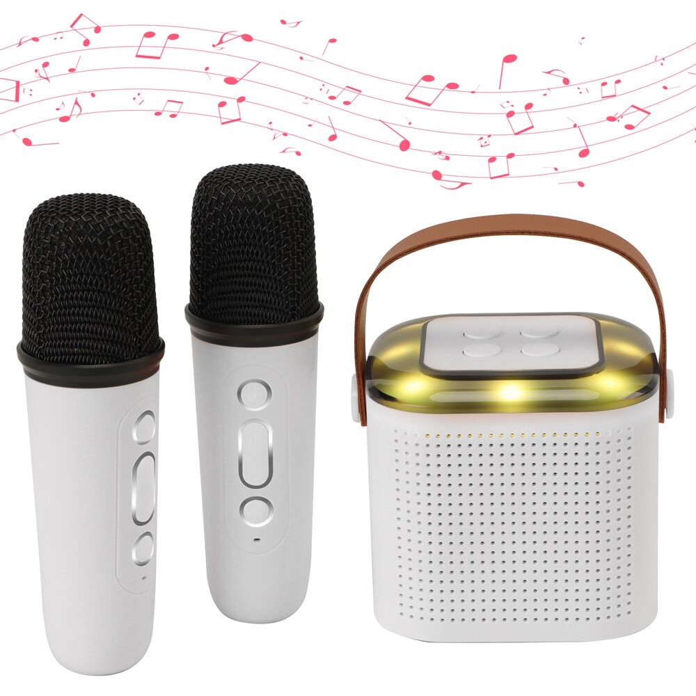 Portable White Bluetooth Karaoke Speaker Machine Kids Mics