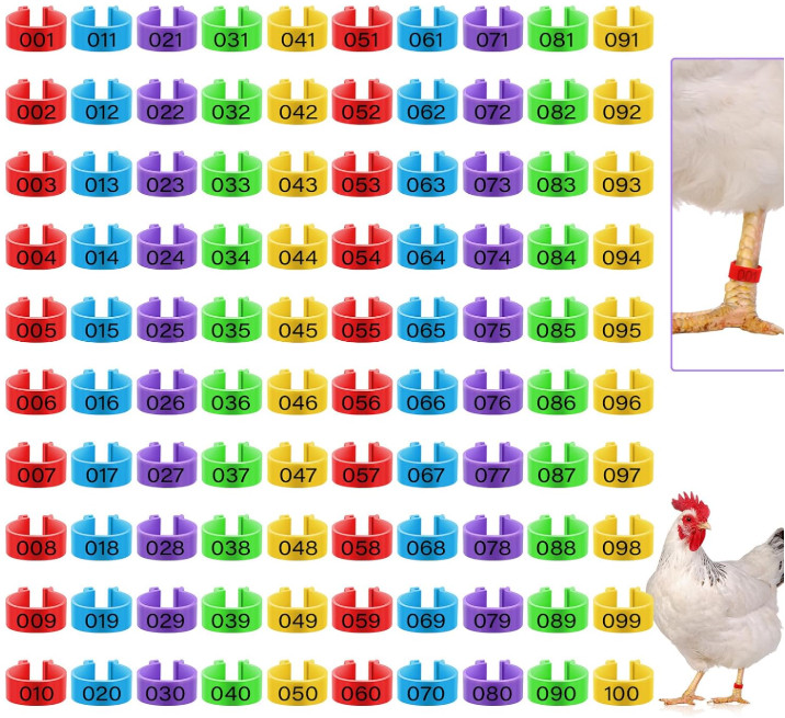 Placas para marcar gallos gallinas pollos pinches anillos accesorios 100 PCS