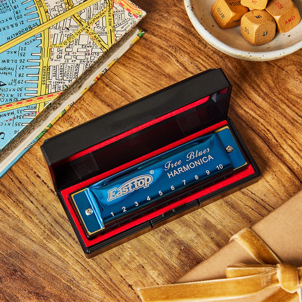 Blue Diatonic Harmonica 10 Hole Brass Reed Pocket Harmonica with Storage Box