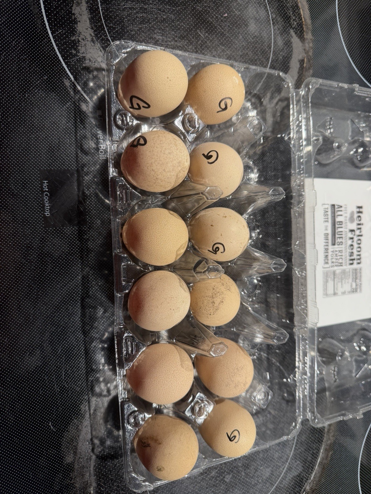 guinea hatching eggs