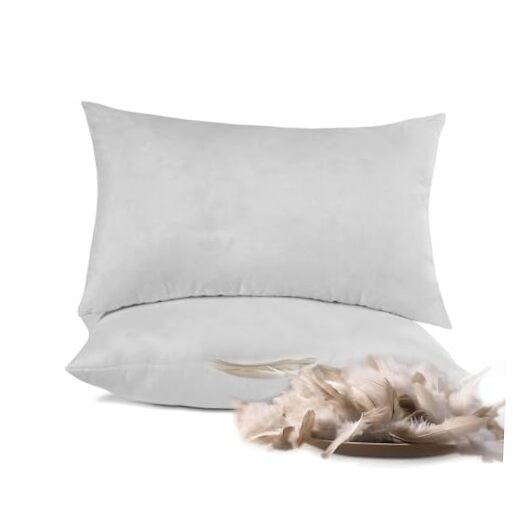 Throw Pillow Inserts 20'' x 12'' Set of 2, Down Feather Decorative Pillows,