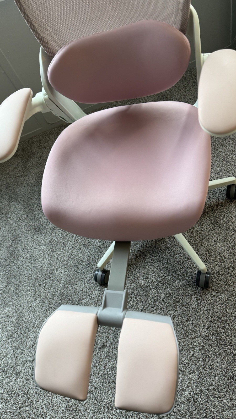 Musso Pink Ergonomic Mesh Office Chair Adjustable Headrest Armrest Footrest E80