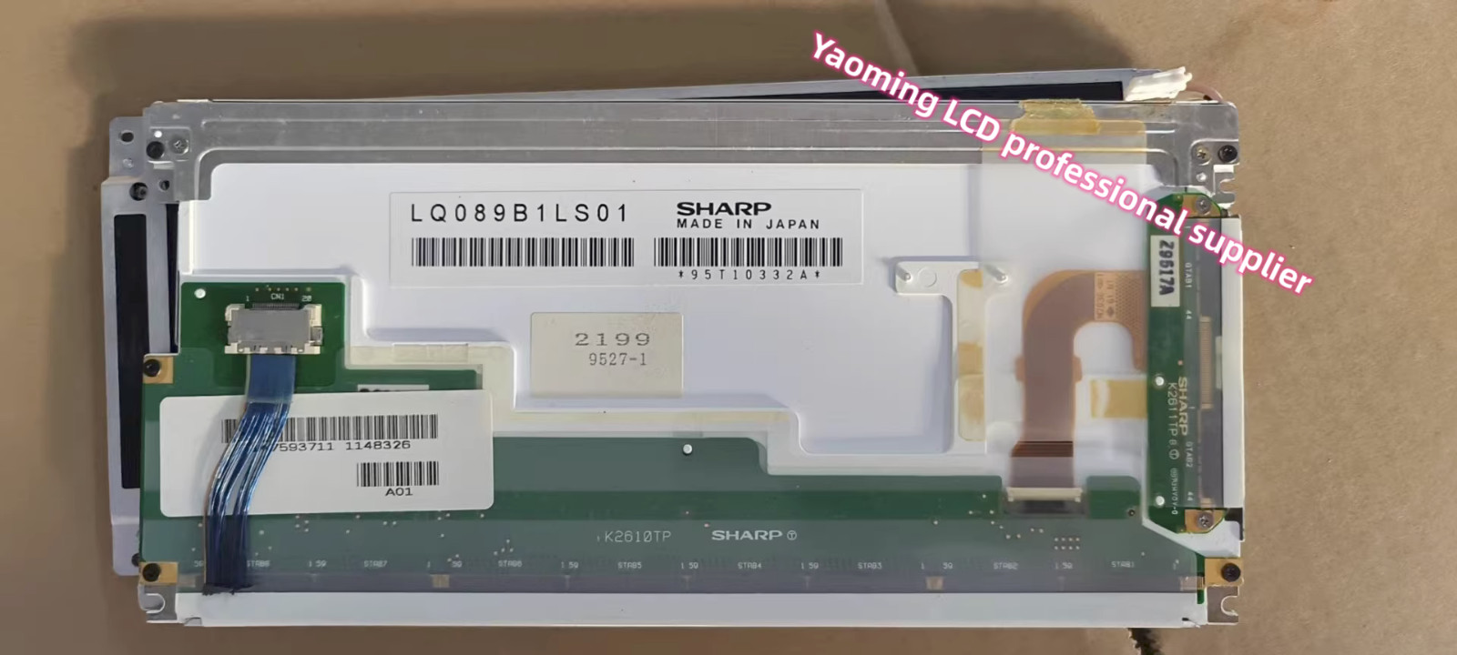 8.9 In For LQ089B1LS01 LCD Screen Display Panel 1 Year Warranty