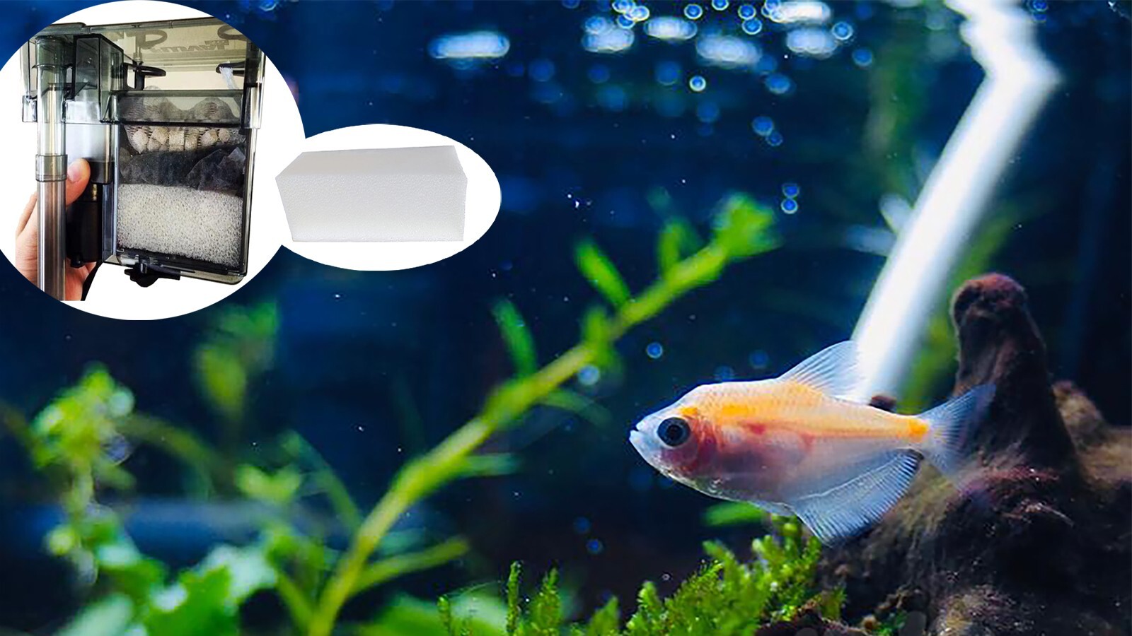 2 Pieces Foam Filter Pads for Aqua Clear 500/110 Foam AquaClear A-623 White