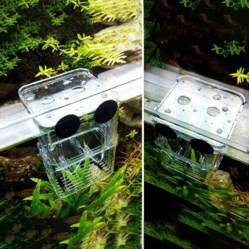 Aquarium Fish Tank Breeding Breeder Rearing Box Hatchery Isolation Case, Small