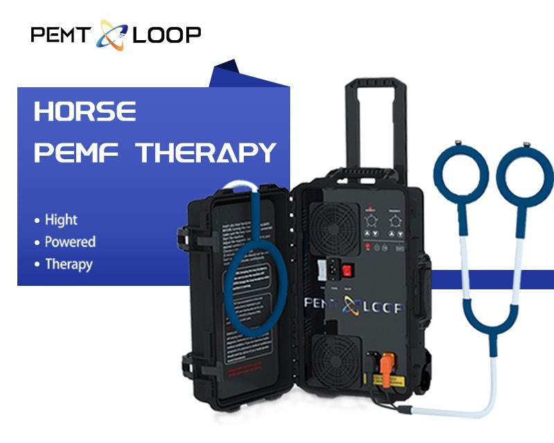 PMST Loop PEMF Pulsed Eletromagnetic Feild Sport Injury Pain Therapy Machine
