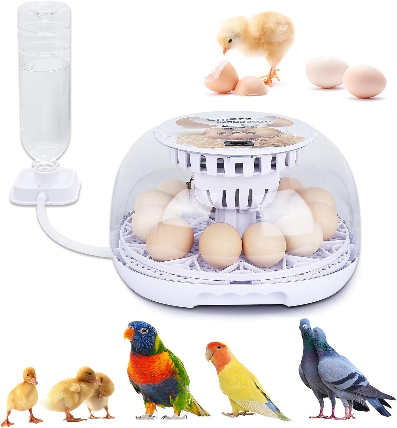 Automatica Incubadora De 12 Huevos Encubadora Gallina Pato Egg Incubator NEW