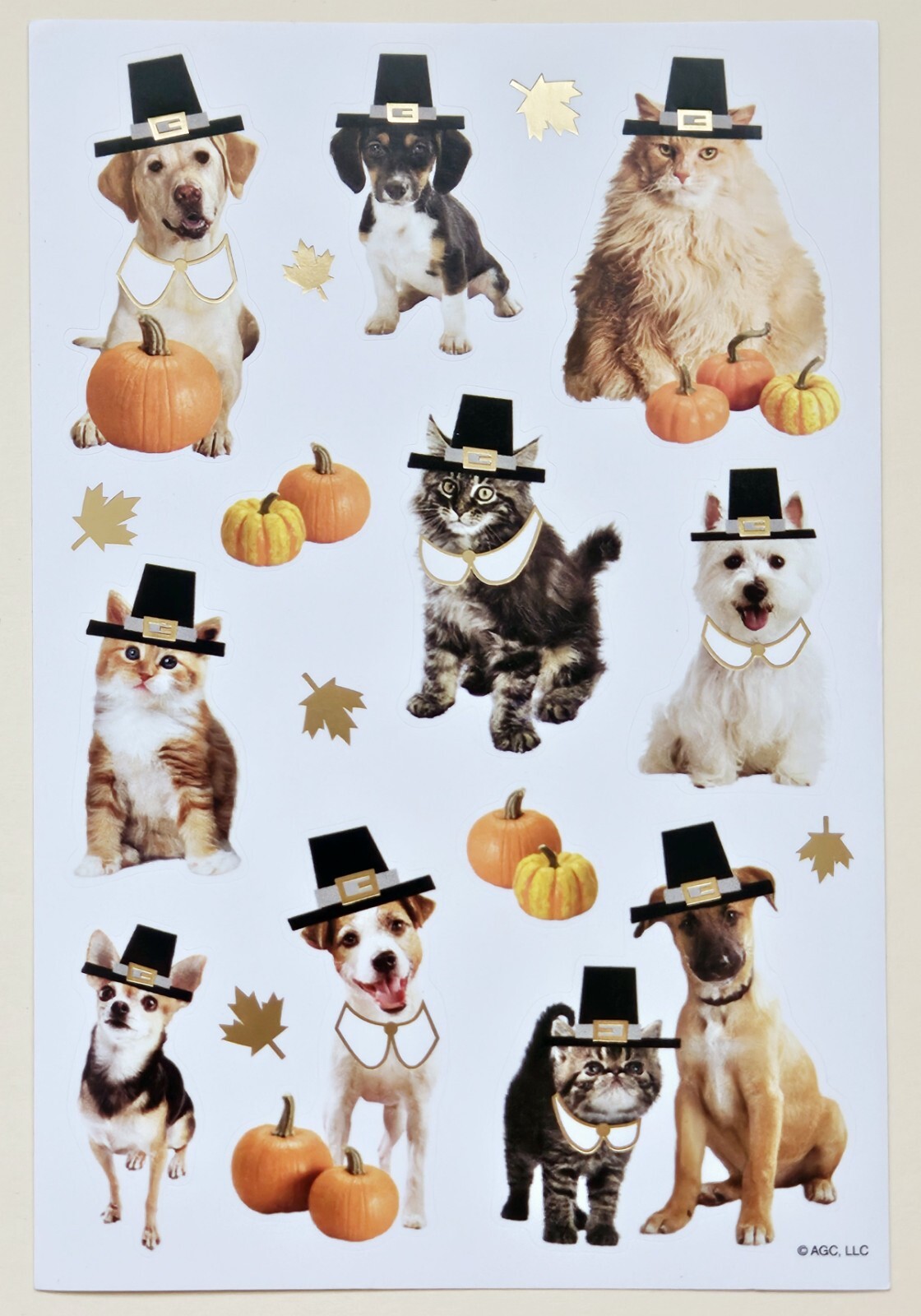 Happy Thanksgiving / Cats And Dogs Sticker sheet