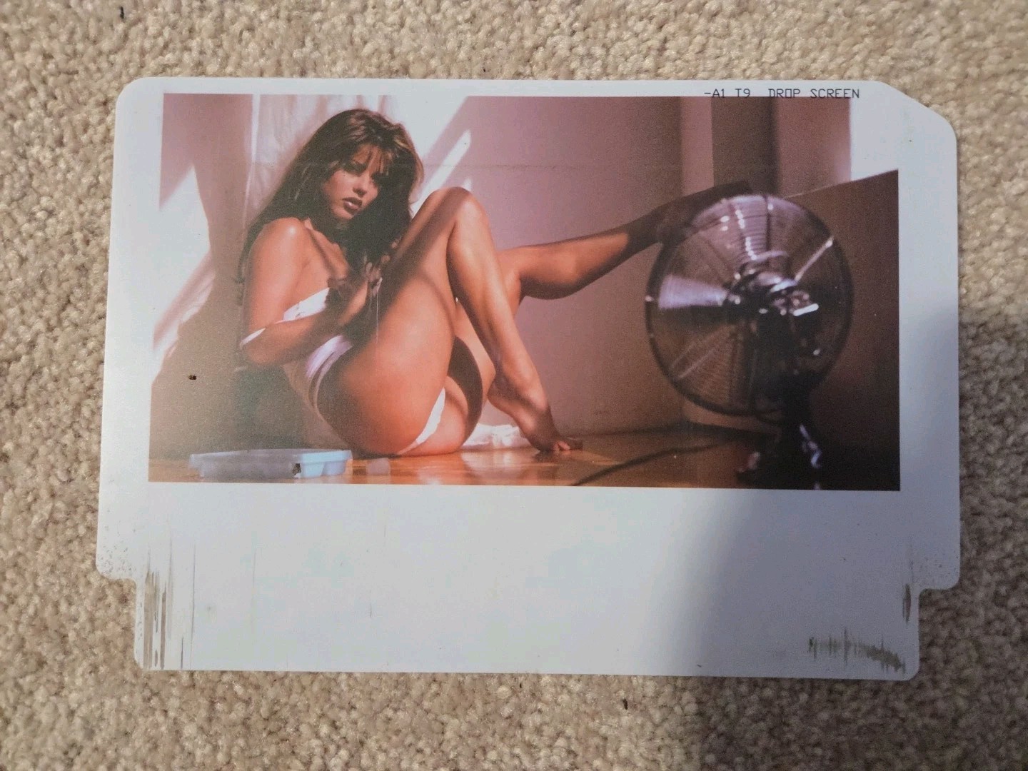2 replacement photos for the Drop screen  2002 Stern Playboy pinball Machine