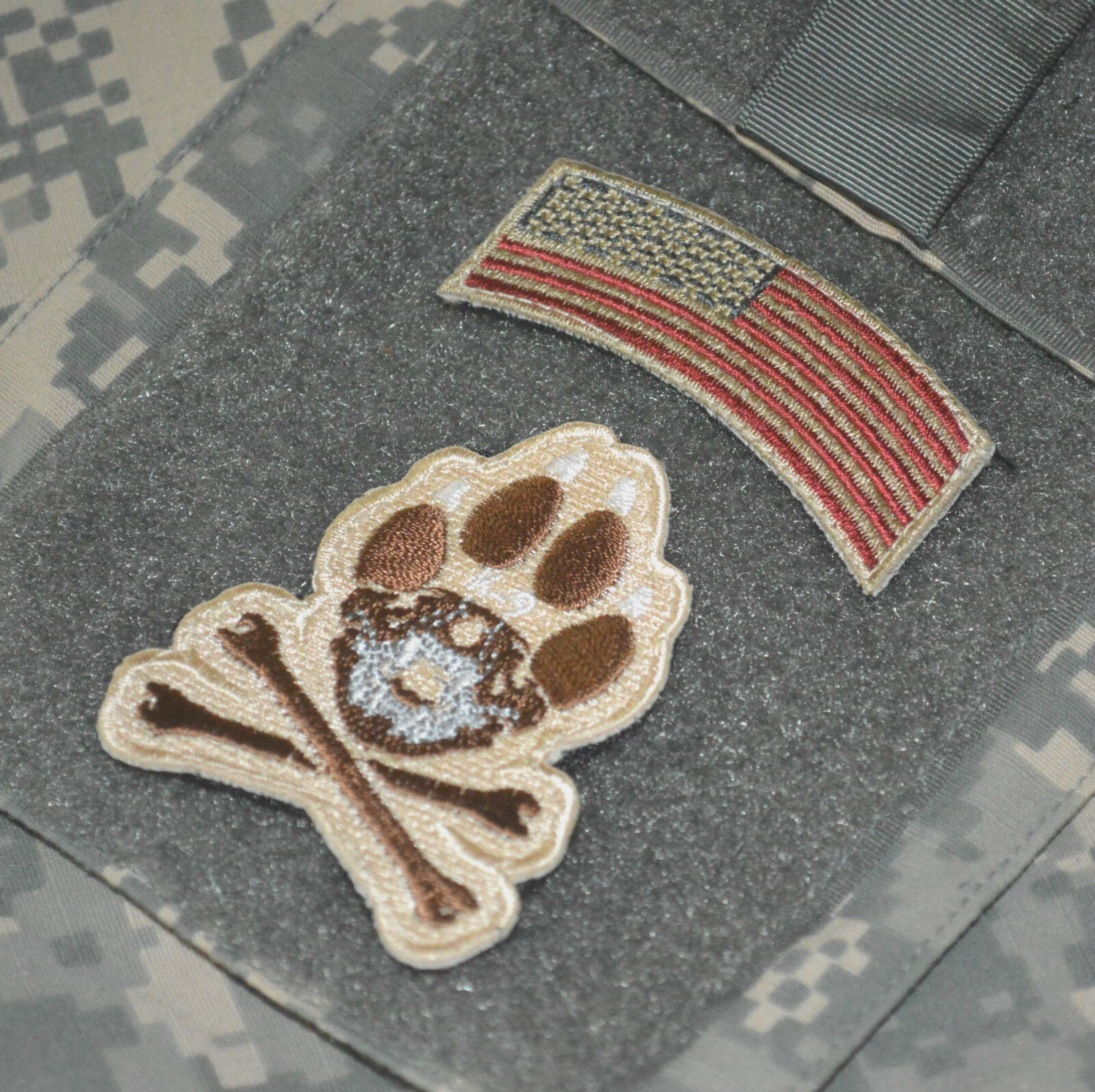 JOINT SP OPS TASK FORCE JSOTF-A SEAL ODA vêlkrö PATCH: MAJOR LEAGUE EOD K-9