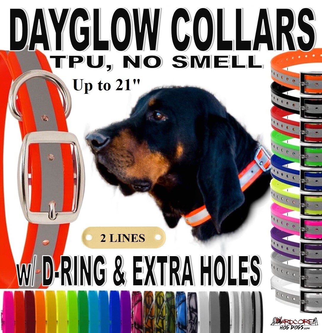 3/4" WIDE X 21 INCH TPU DAYGLOW DOG COLLAR, No Smell waterproof WITH NAME PLATE