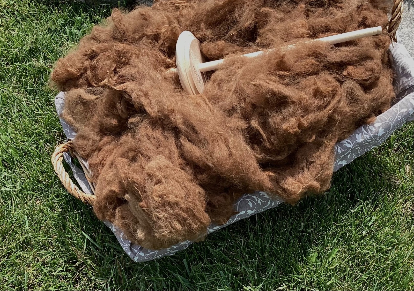 Raw Alpaca Fiber, Beautiful Red Brown, Spinning Fiber, Alpaca Fleece