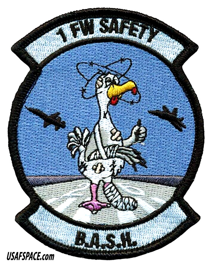 USAF 1st FIGHTER WING -1 FW-SAFETY BIRD/WILDLIFE-Langley AFB, VA- VEL PATCH