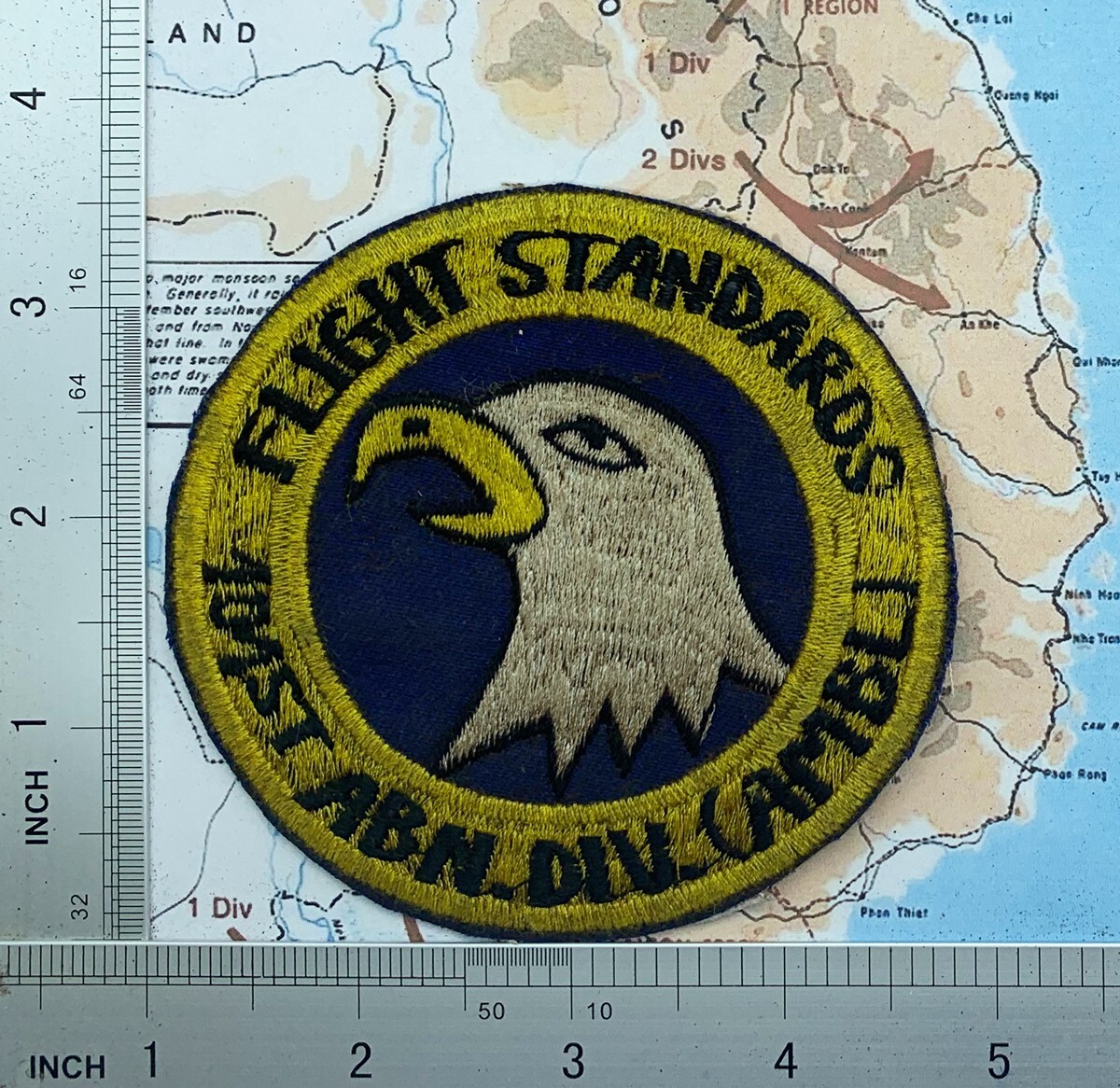 patch , US 101st Airborne Division ( Airmobile ) FLIGHT STANDARDS , t9-278