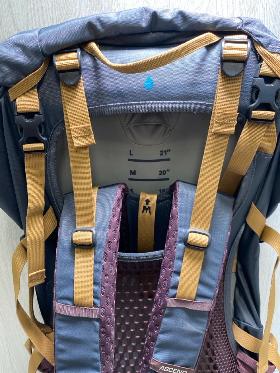 Ascend Tangra 65 Trail Backpack (A1G013968)