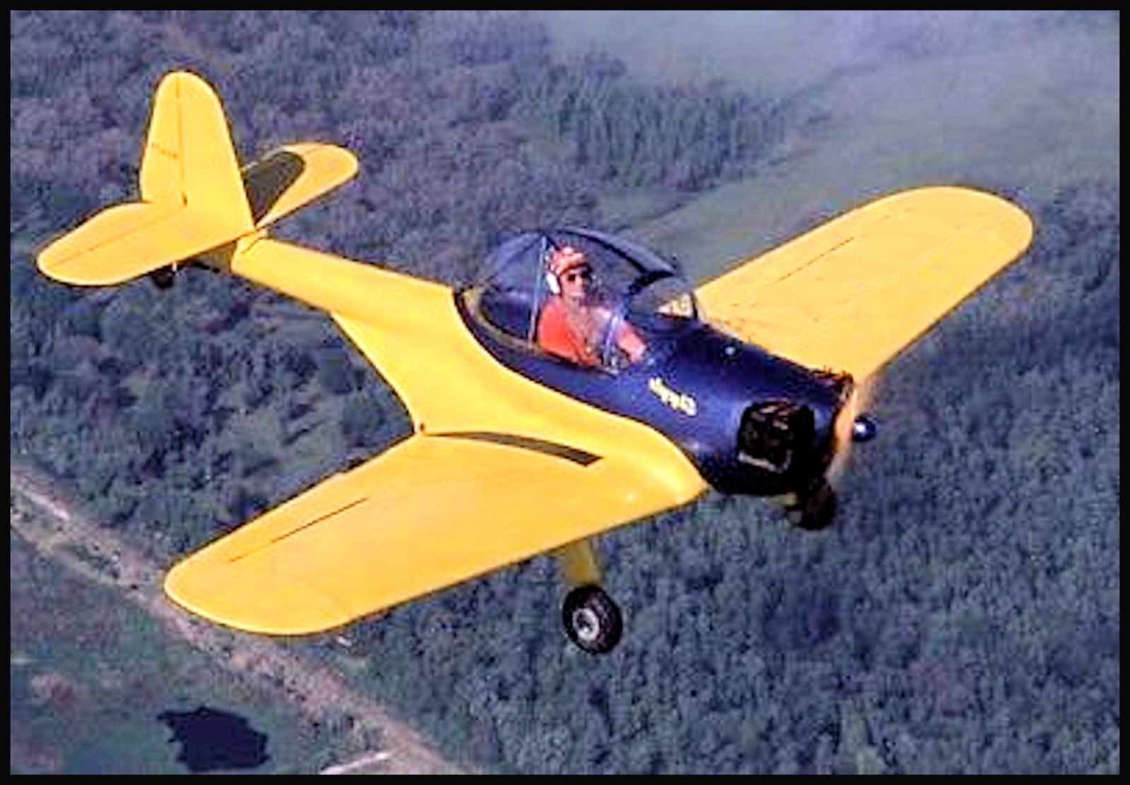 RC 1/4 Scale Plans & patterns SKYCYCLE Wingspan 60"