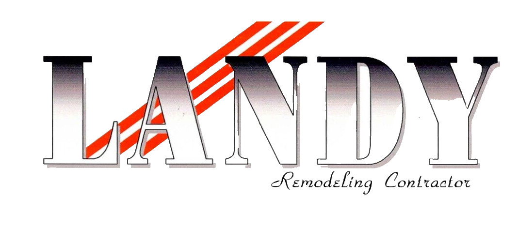 Internet LANDY domain name for website internet name URL GoDaddy whois