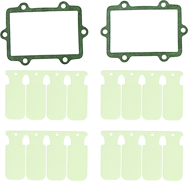 SP1 Reed Valve Repair Kit SM-07301 Arctic Cat