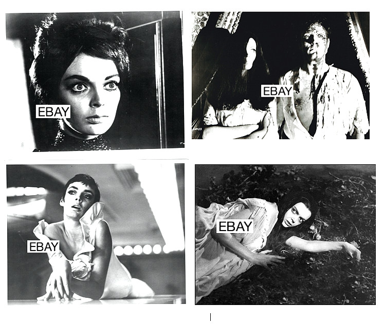 SALE: 4 BARBARA STEELE HORROR MOVIE PHOTOS NIGHTMARE CASTLE OF BLOOD THE GHOST