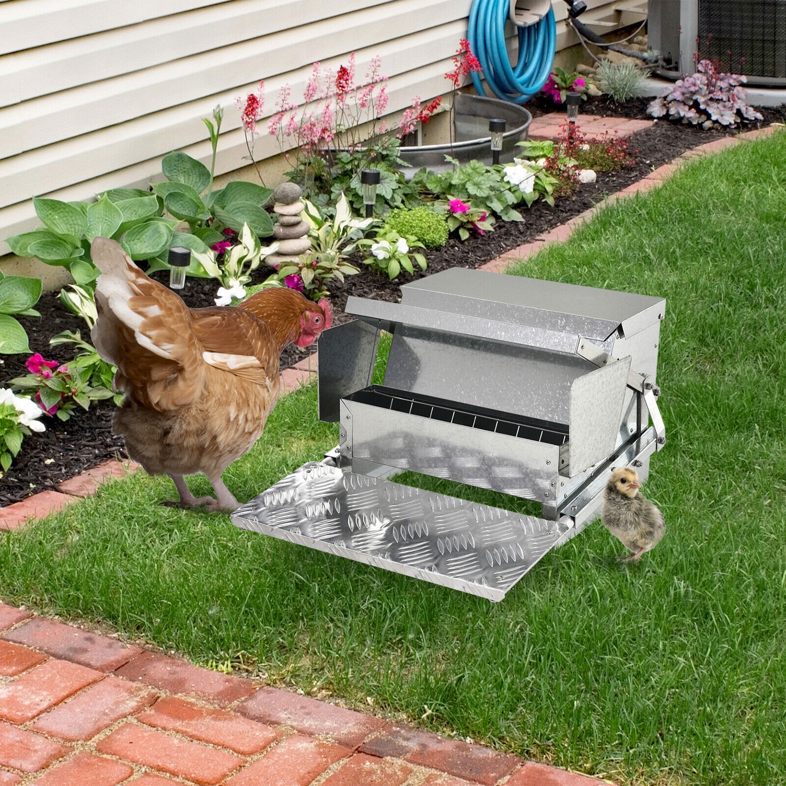 Automatic Chicken Feeder Galvanized Steel Poultry Feeders 25 Lbs of Feeds