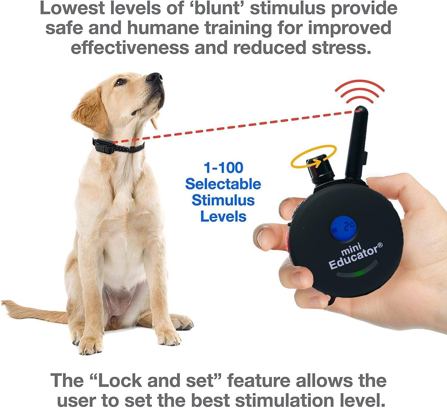 Mini Educator E-Collar ET-300 / ET-302 Dog Training Collar System with Remote -