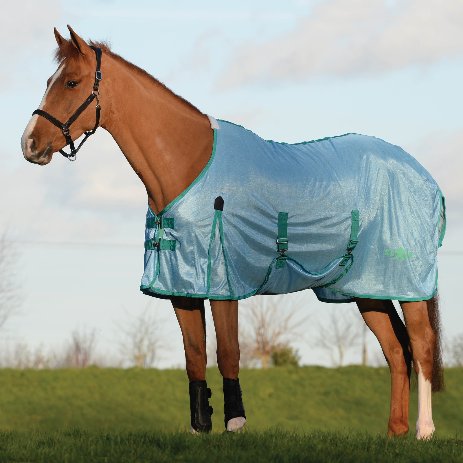 Saxon Mesh with Gusset Belly Wrap Standard Neck