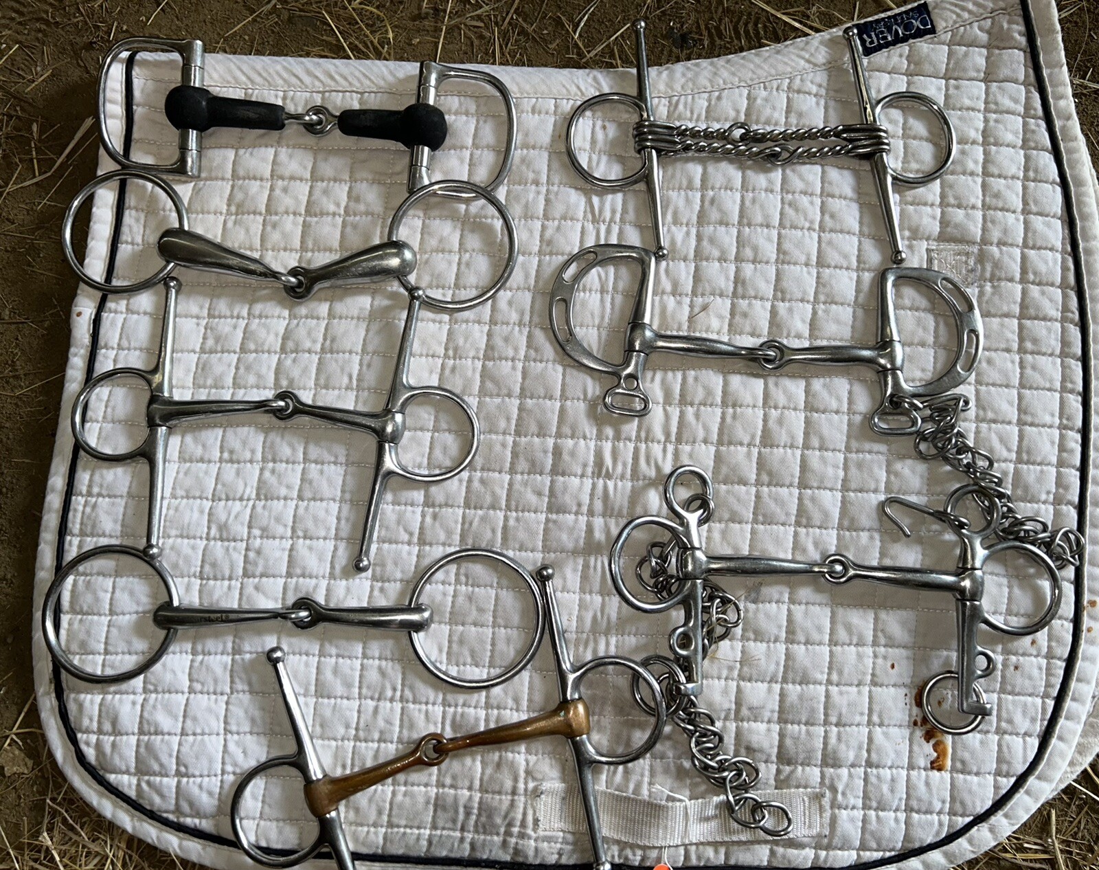 equine bits