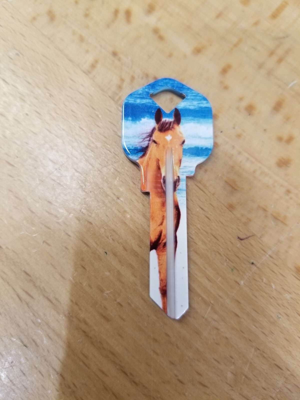 BEACH HORSE PRINTED KWIKSET KW1/KW10 KEYBLANK - READ DETAILS BELOW
