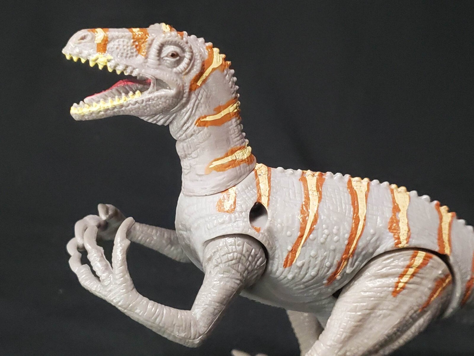 Australovenator Dinosaur 4.75" Educational Toy